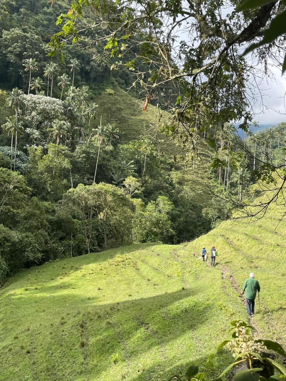 Sazagua Cocora Reserva Natural Hotel Salento Exterior photo