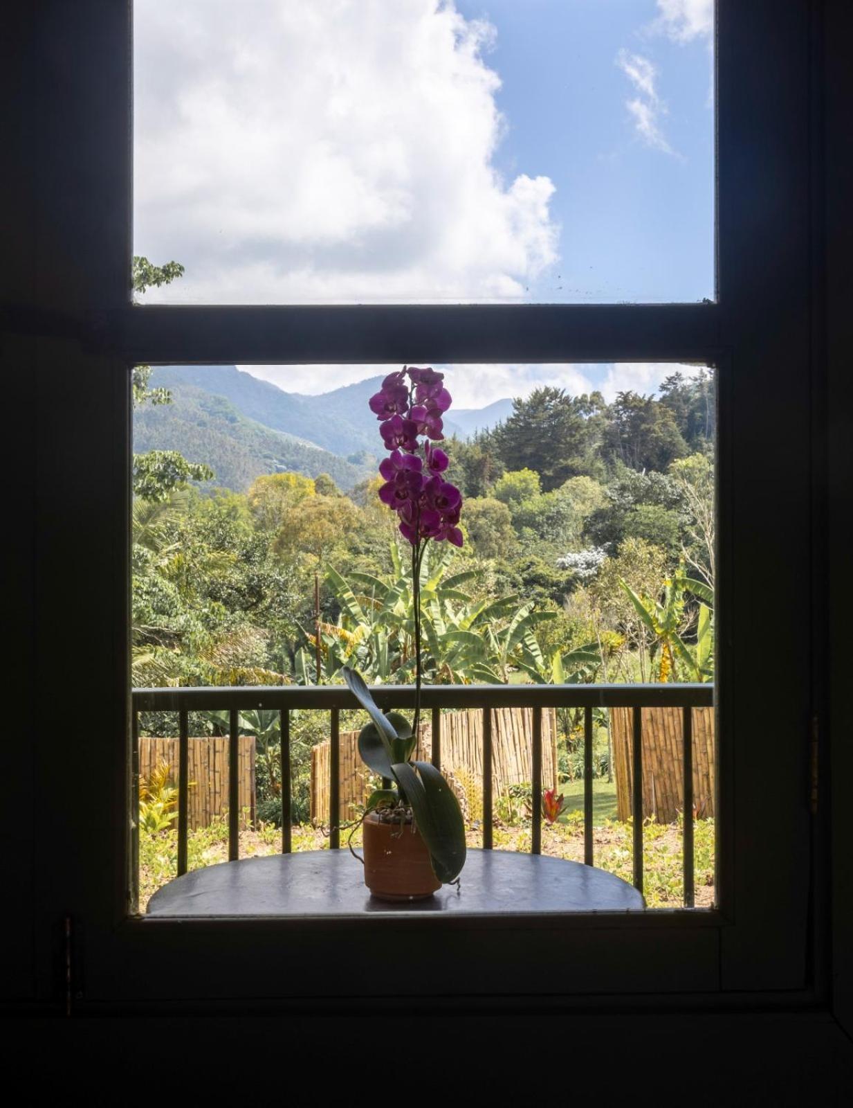 Sazagua Cocora Reserva Natural Hotel Salento Exterior photo